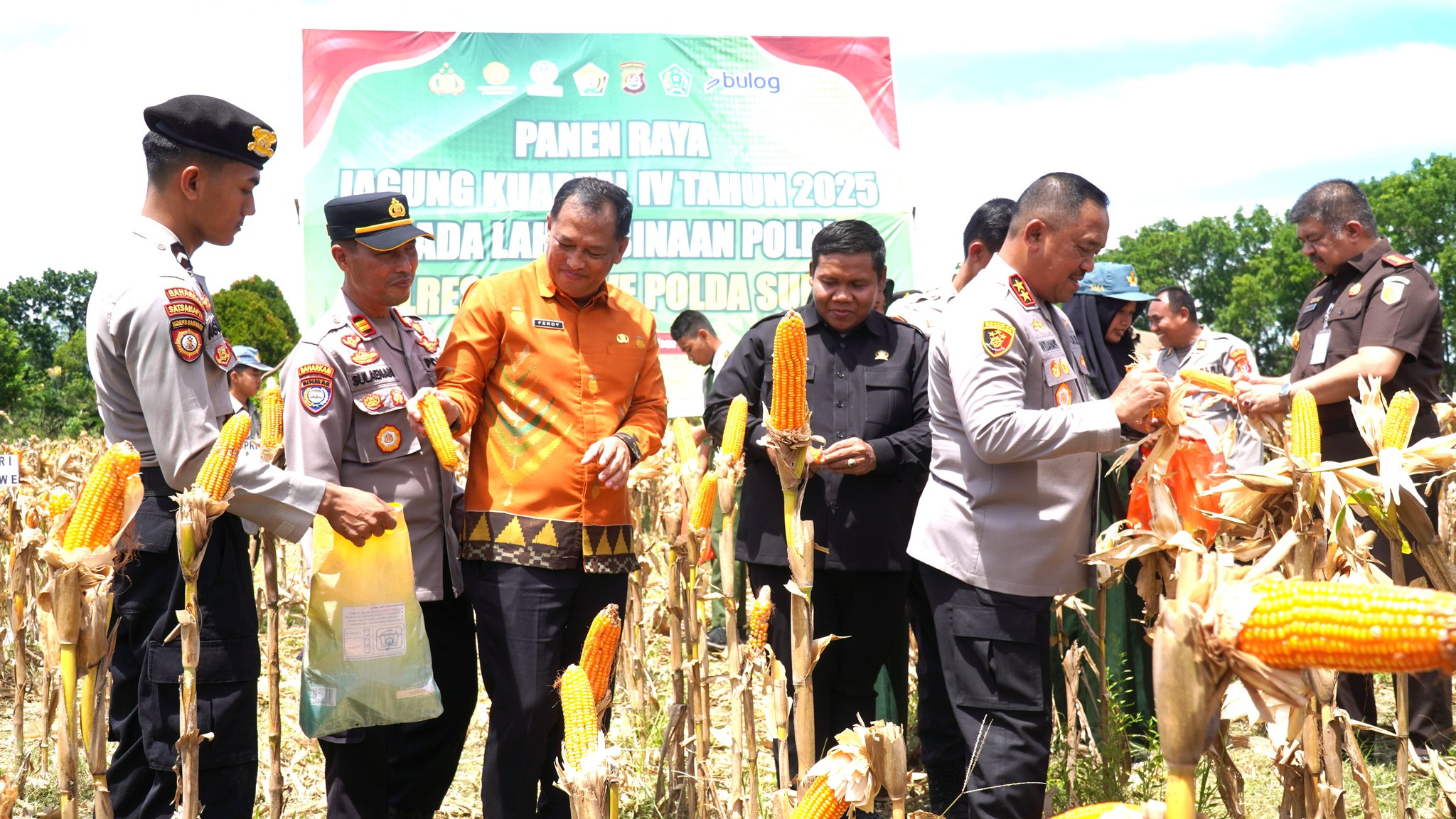 Sekda Konawe Wakili Bupati pada Panen Jagung di Lahan Binaan Kapolda Sultra