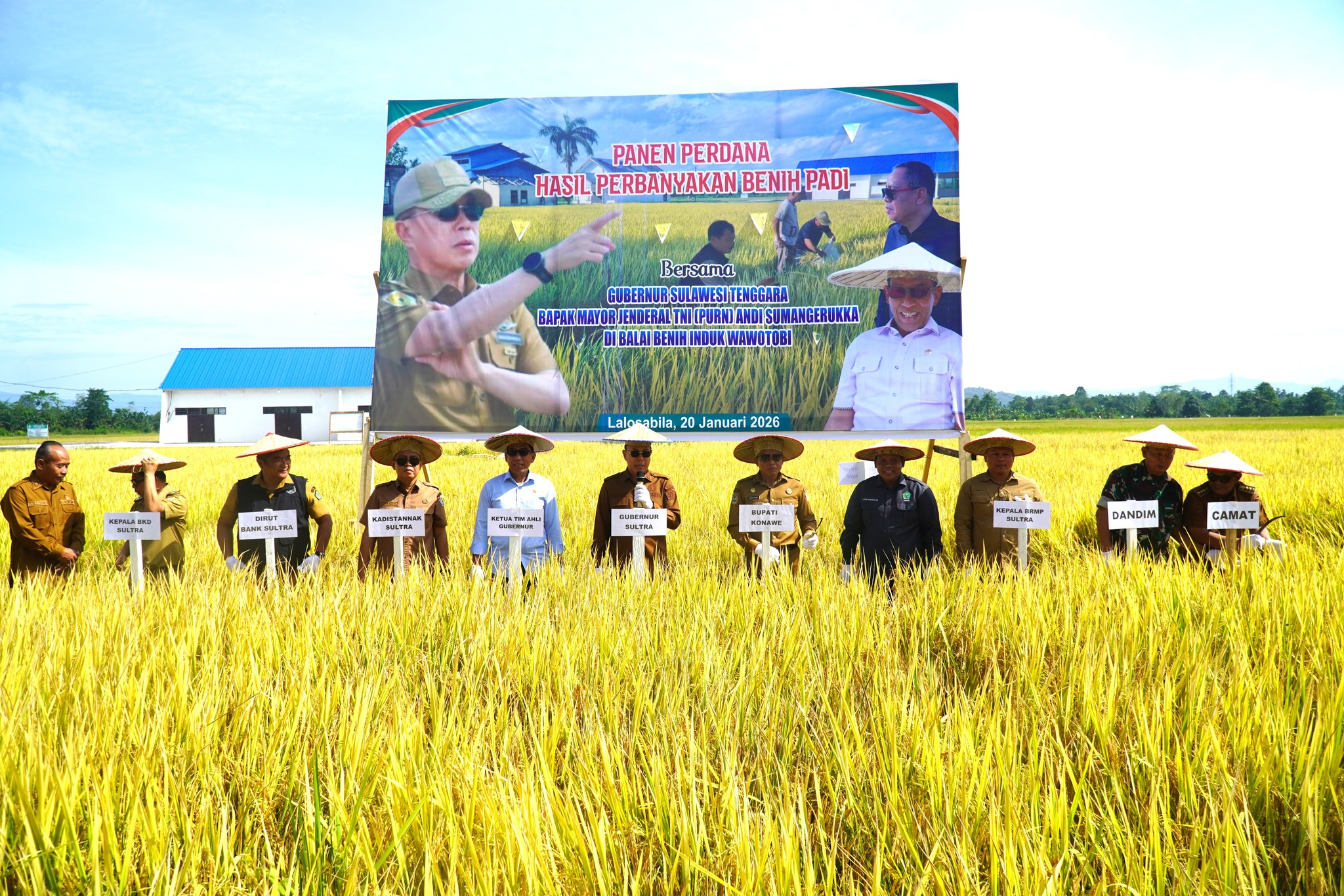 Bupati Dampingi Gubernur Sultra Dukung Petani Lewat Panen Perdana di BBI Wawotobi